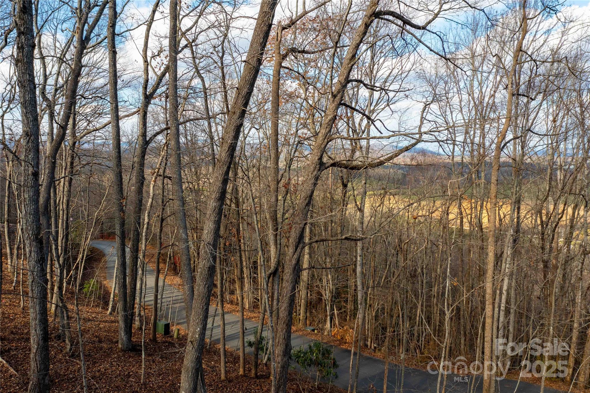 345 Ravenwood Lane