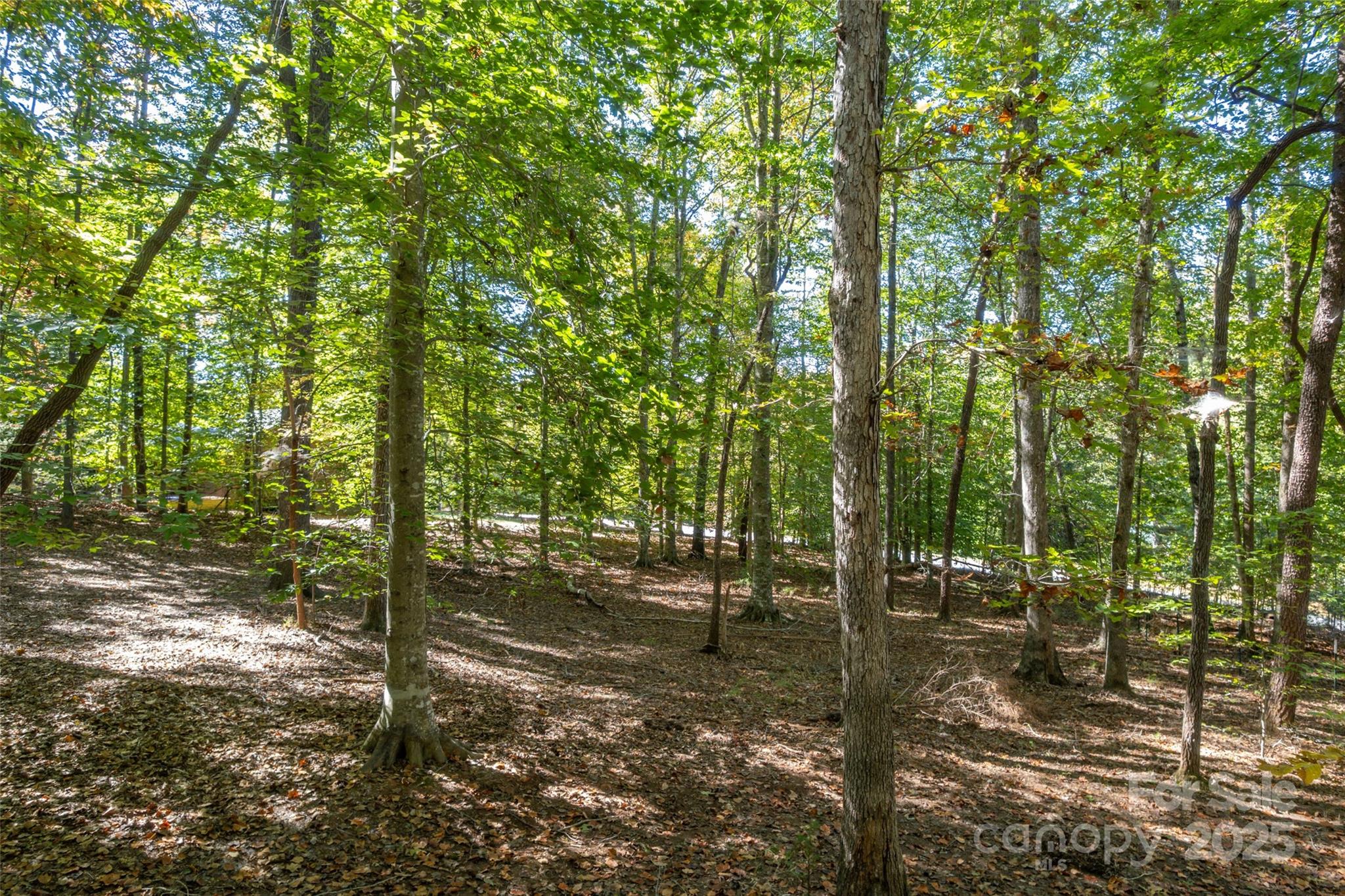 329 Cinnamon Ridge