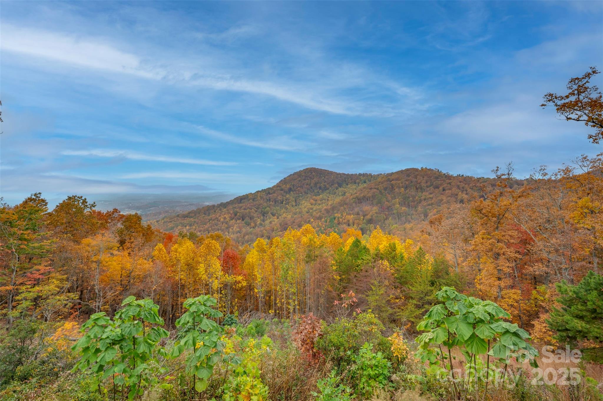 311 Mountain Lookout Drive