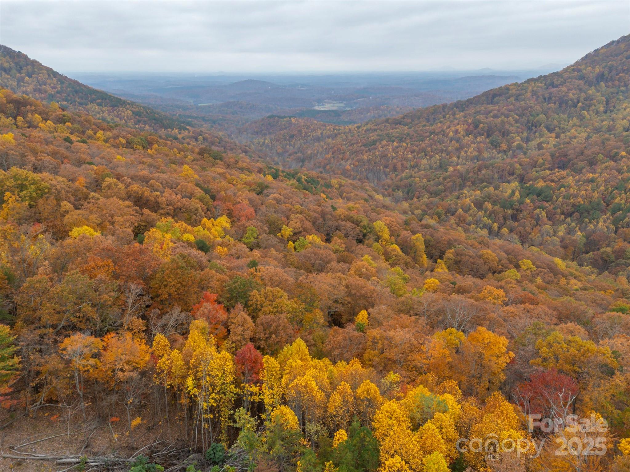 311 Mountain Lookout Drive