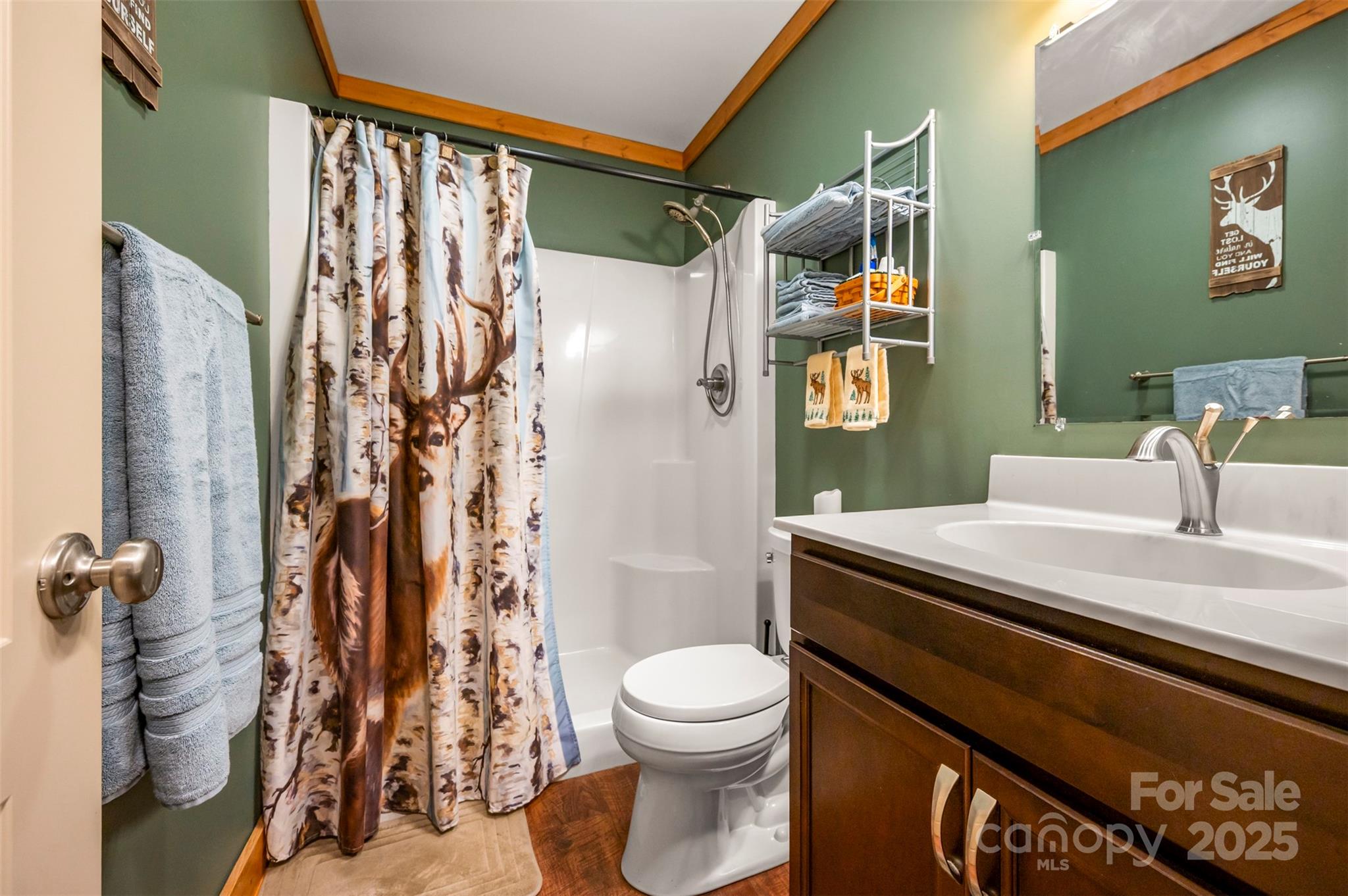 311 Mountain Lookout Drive