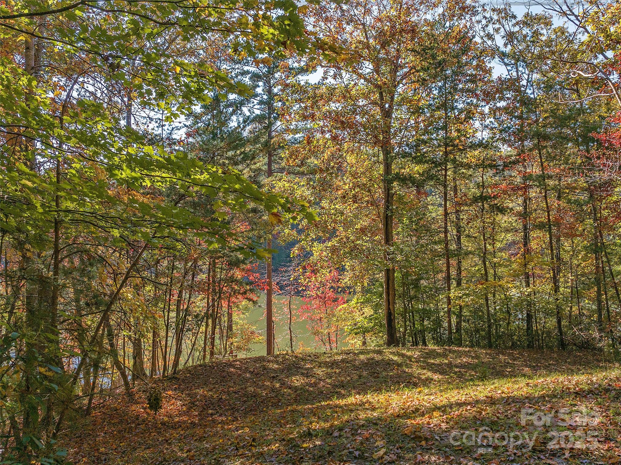 000 South Cove Road Unit: 17