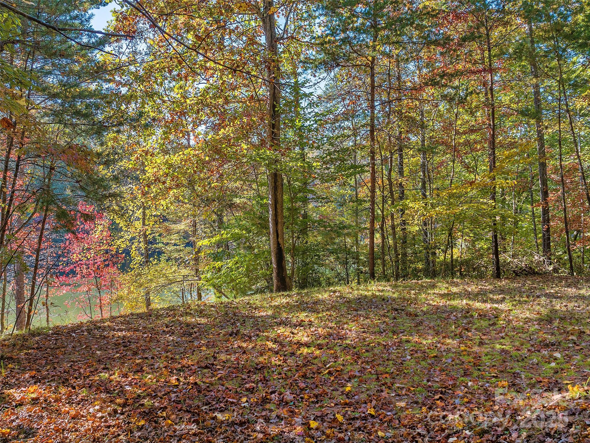 000 South Cove Road Unit: 17