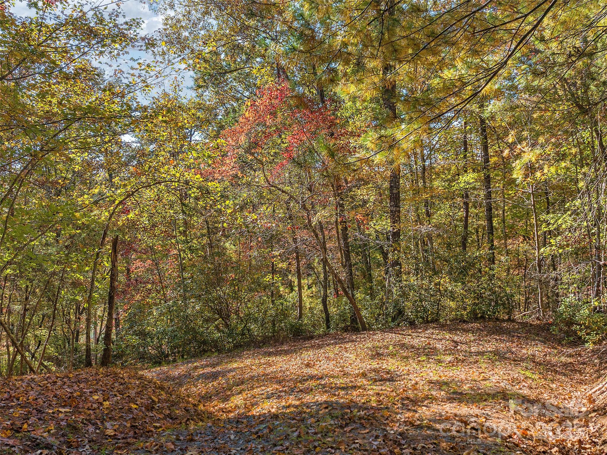 000 South Cove Road Unit: 17