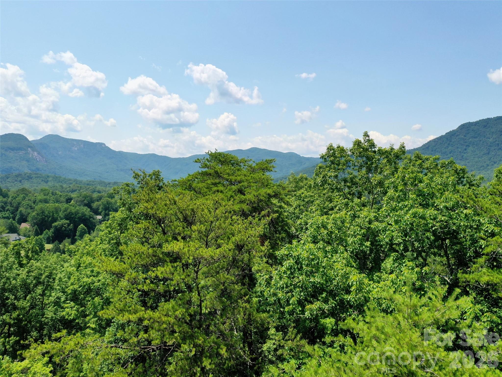 0 Buffalo Creek Road Unit: Lot 35