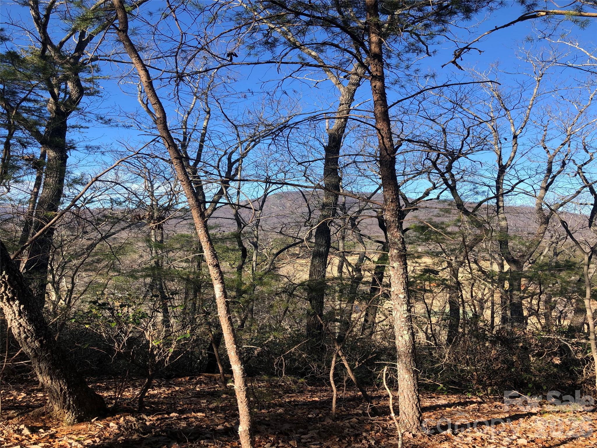 0 Buffalo Creek Road Unit: Lot 35