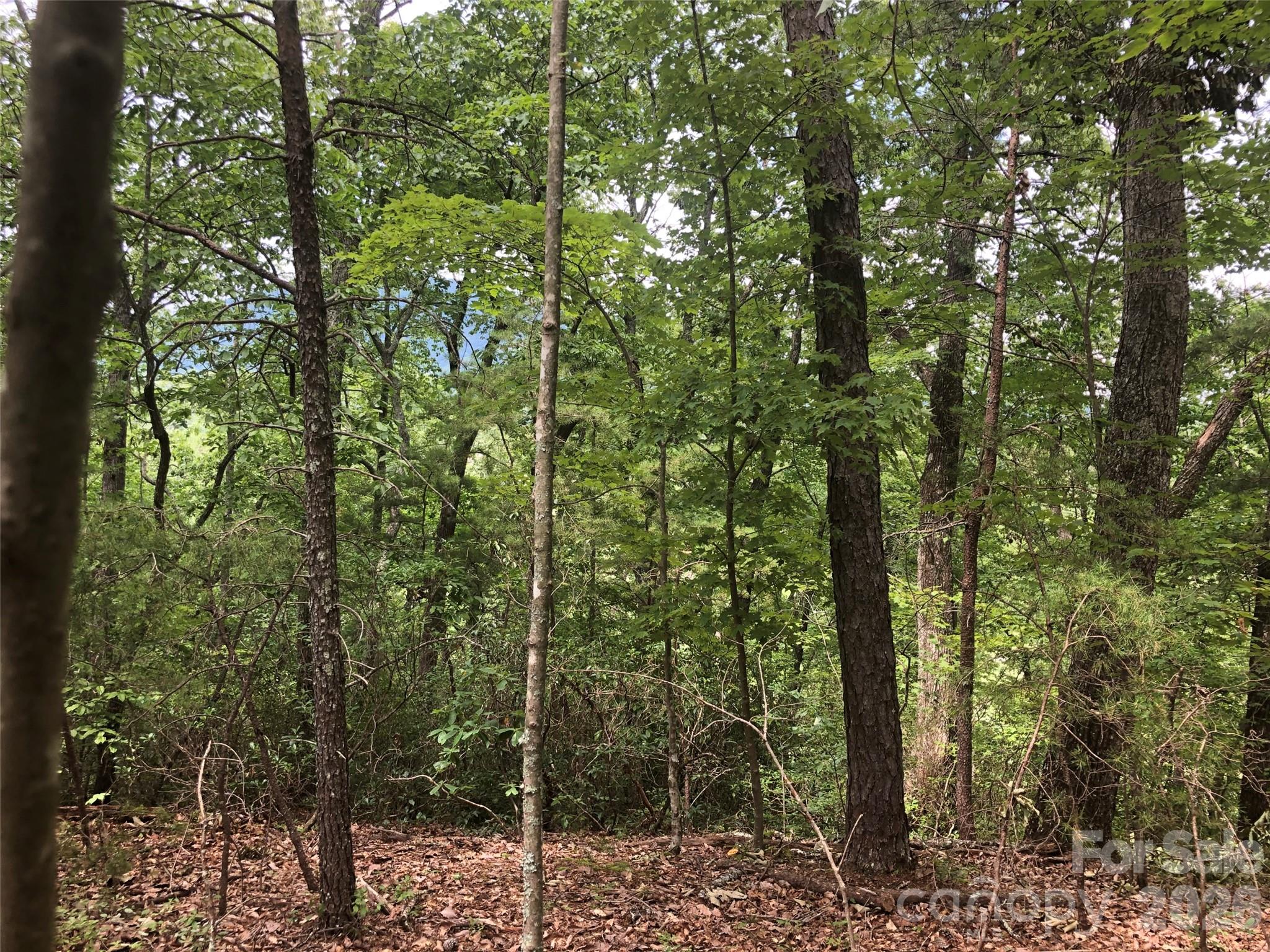 0 Buffalo Creek Road Unit: Lot 35
