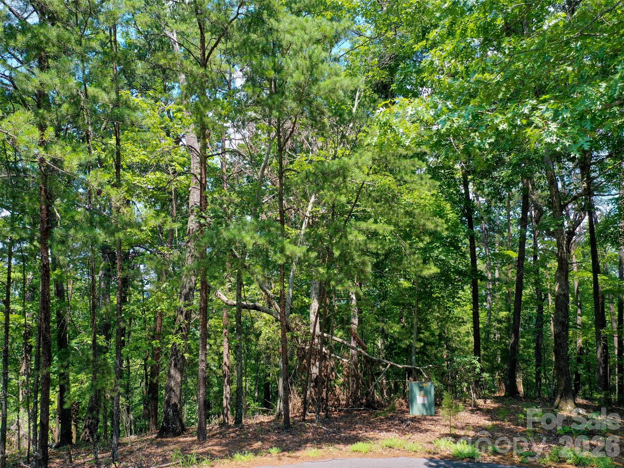 0 Buffalo Creek Road Unit: Lot 35