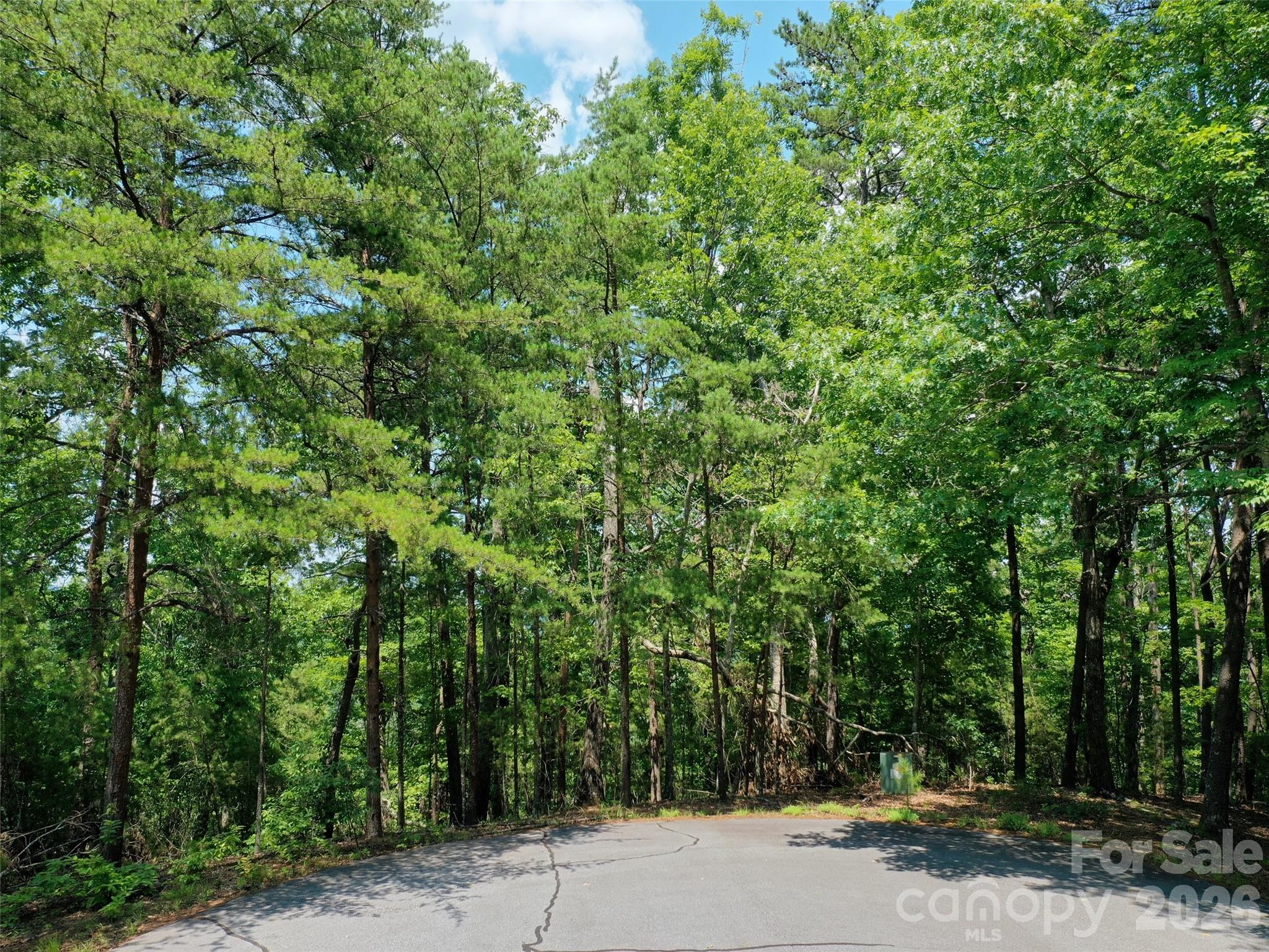 0 Buffalo Creek Road Unit: Lot 35