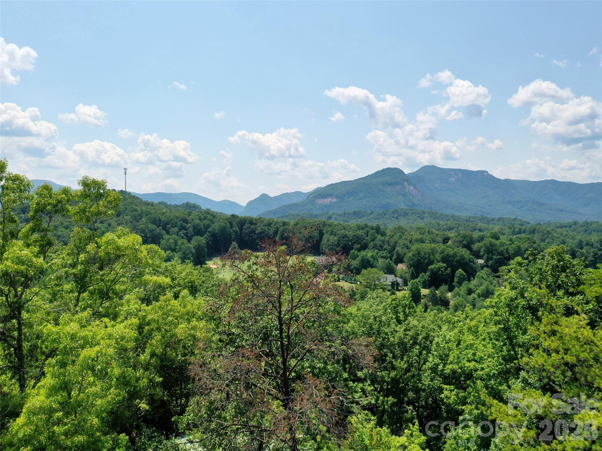 0 Buffalo Creek Road Unit: Lot 35