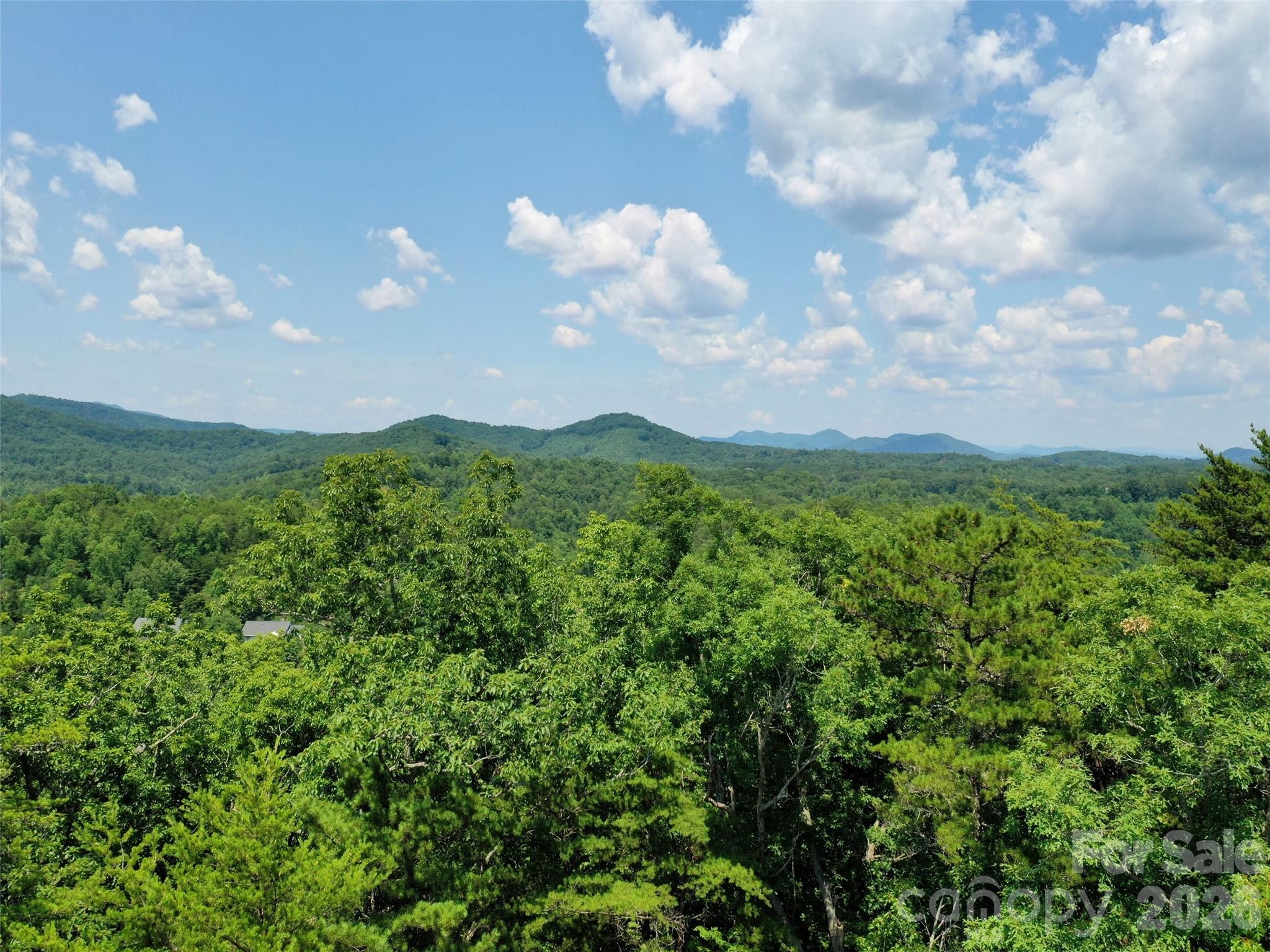 0 Buffalo Creek Road Unit: Lot 35