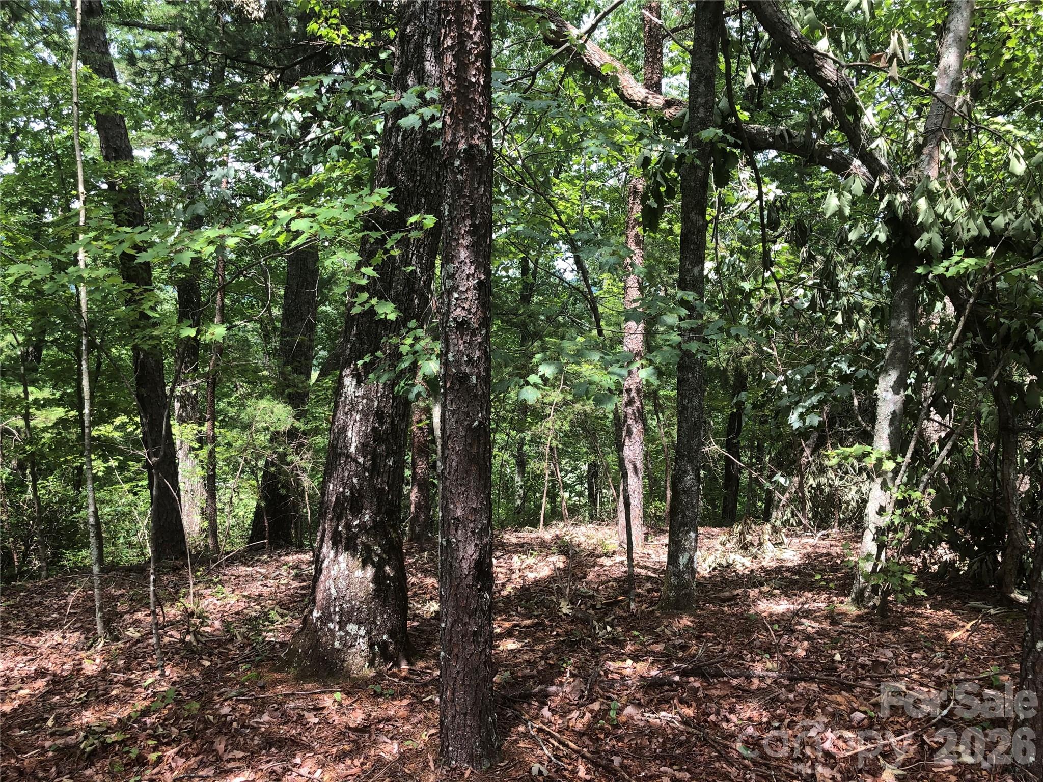 0 Buffalo Creek Road Unit: Lot 35