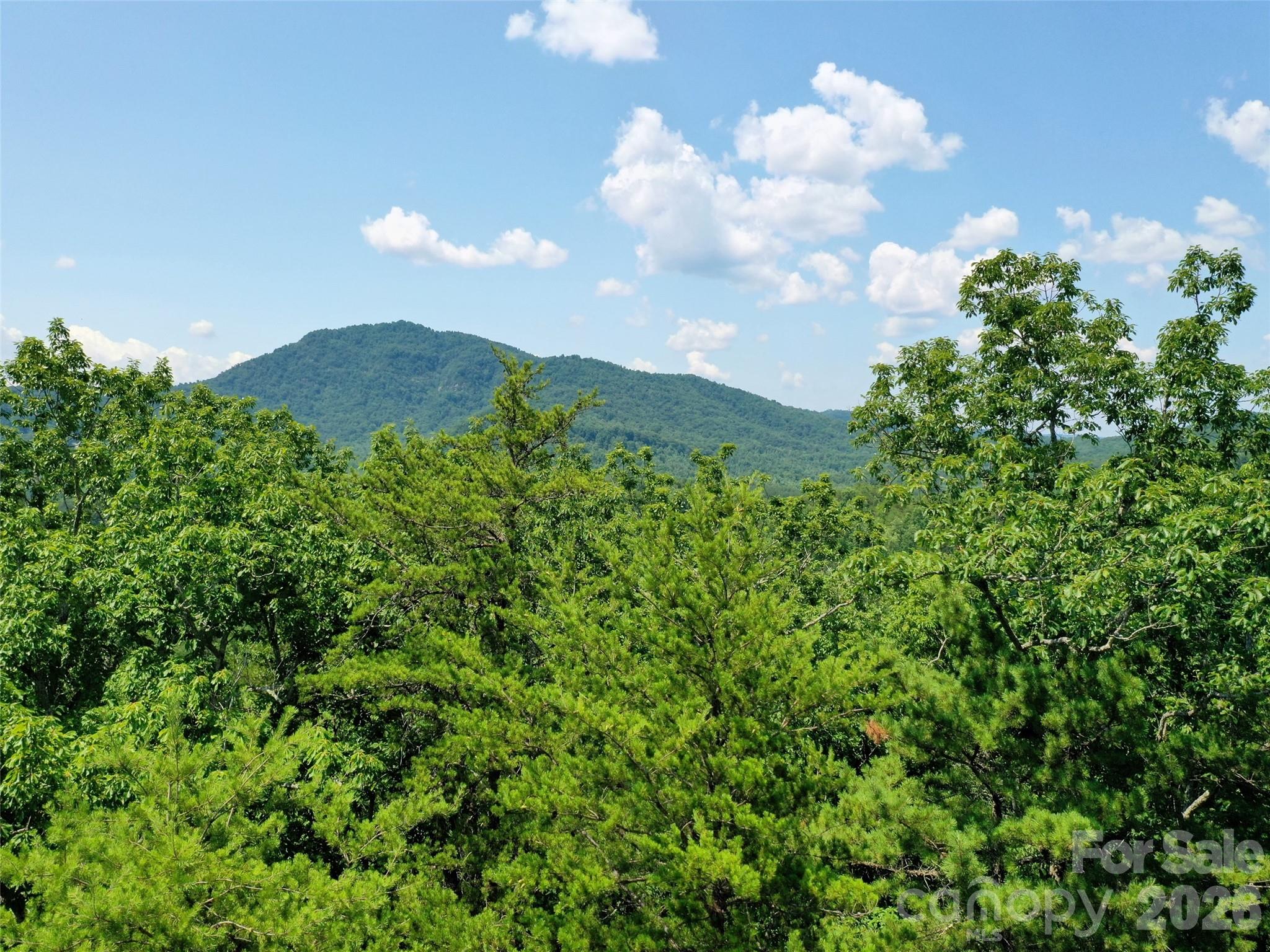 0 Buffalo Creek Road Unit: Lot 35