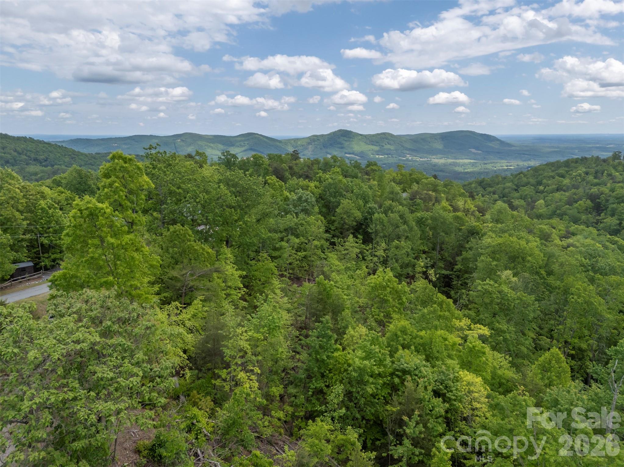 202 Fall Creek Drive