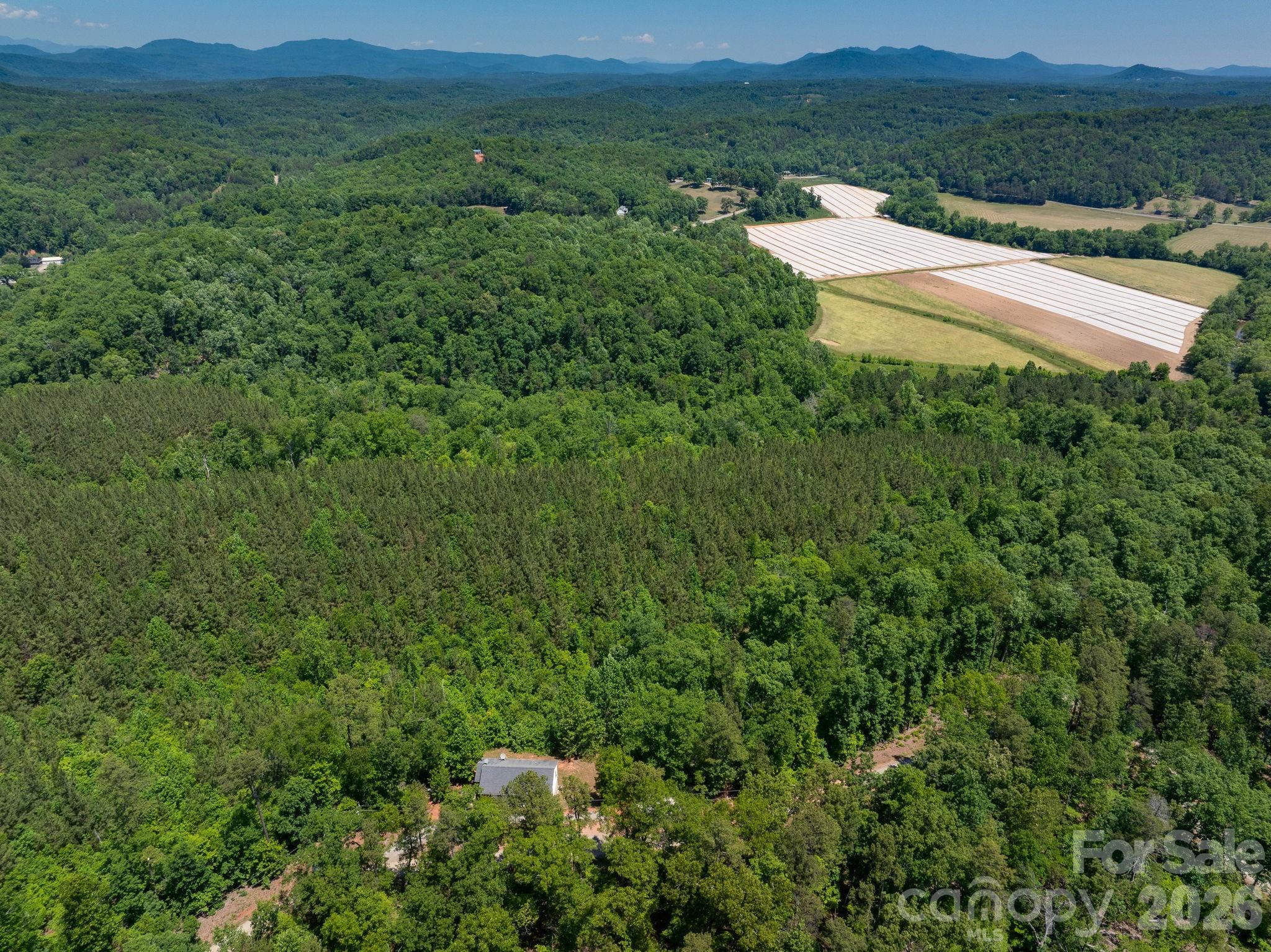 419 Travelers Rest Lane