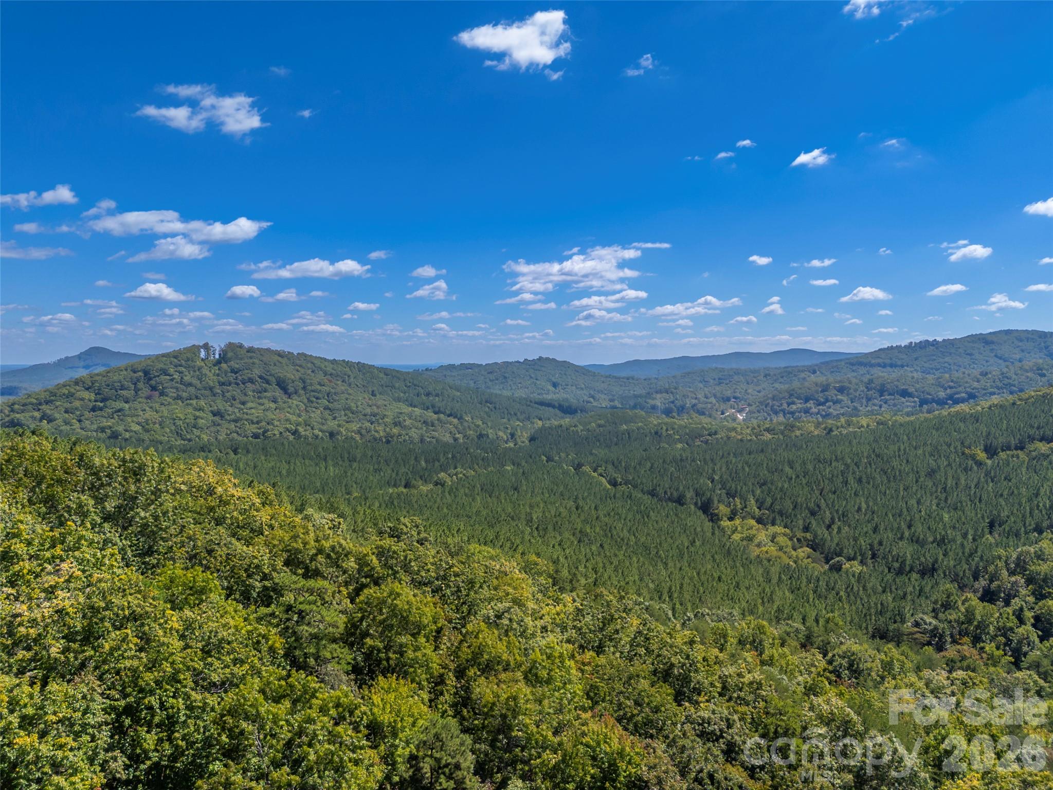 Panoramic mountain view over forested ridges and a distant valley beneath a blue, cloud-dotted sky.