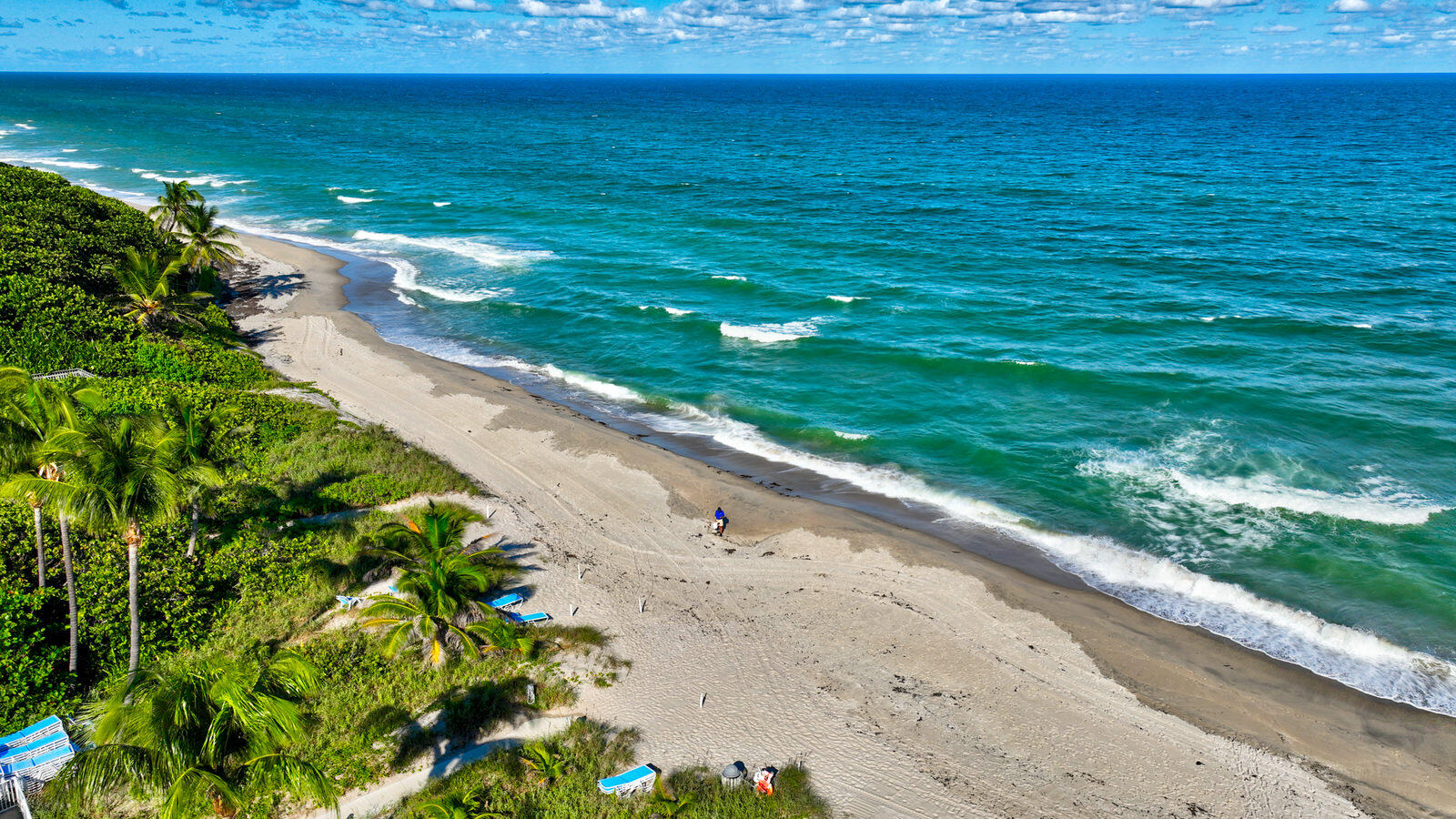 Aerial view of a sandy beach and turquoise ocean bordered by palm trees and coastal greenery.