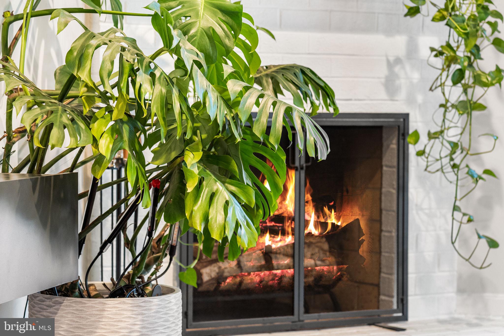 907 S ROLFE STREET 1-A