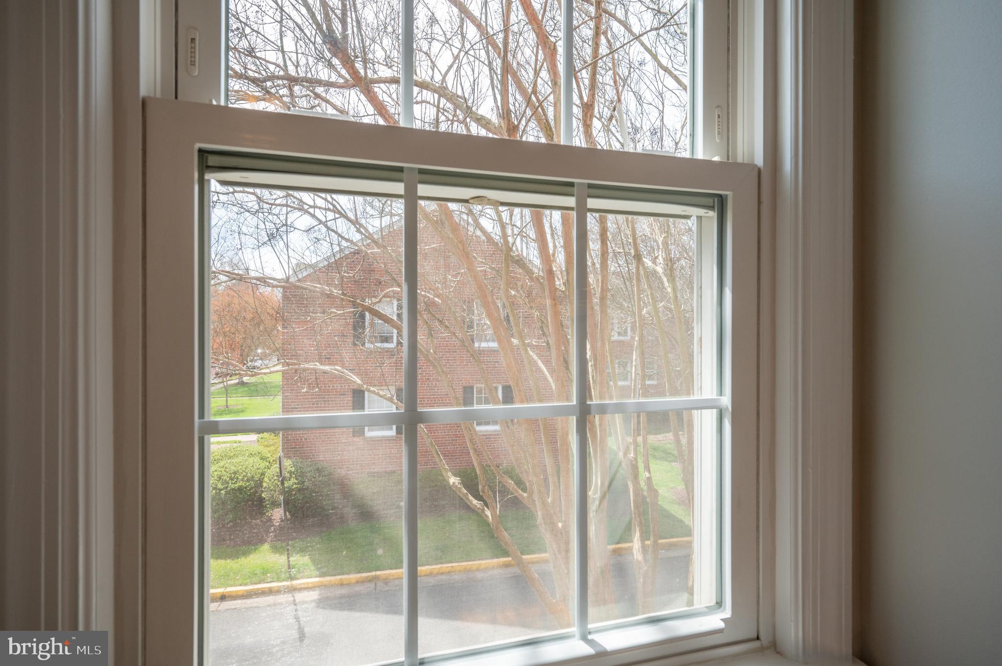 6612 E Wakefield Dr #B1