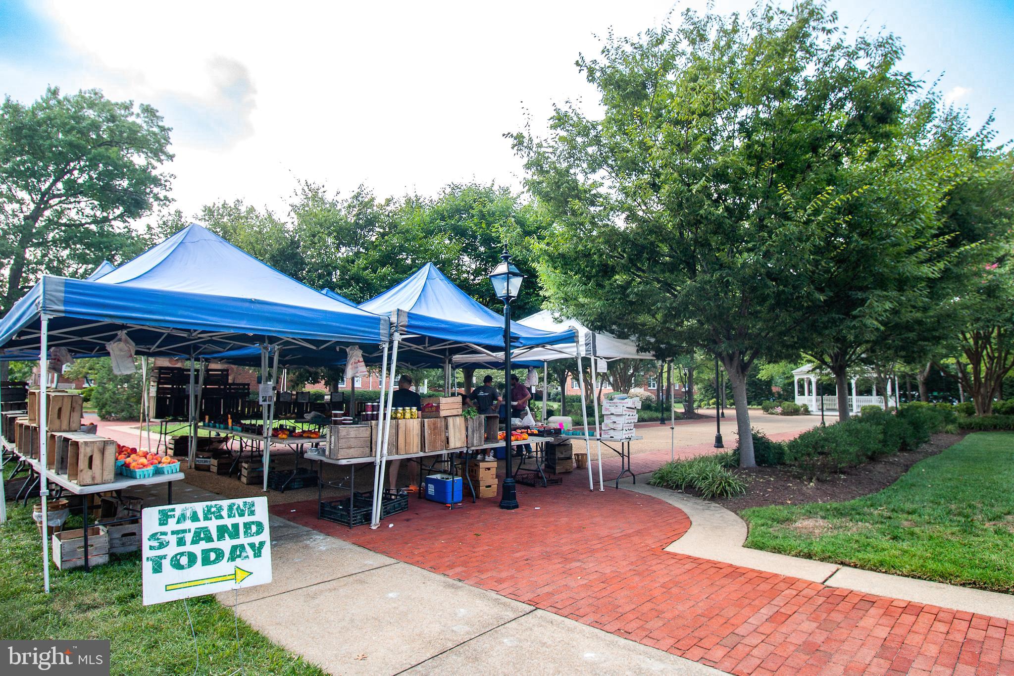 6705 W Wakefield Dr #C1