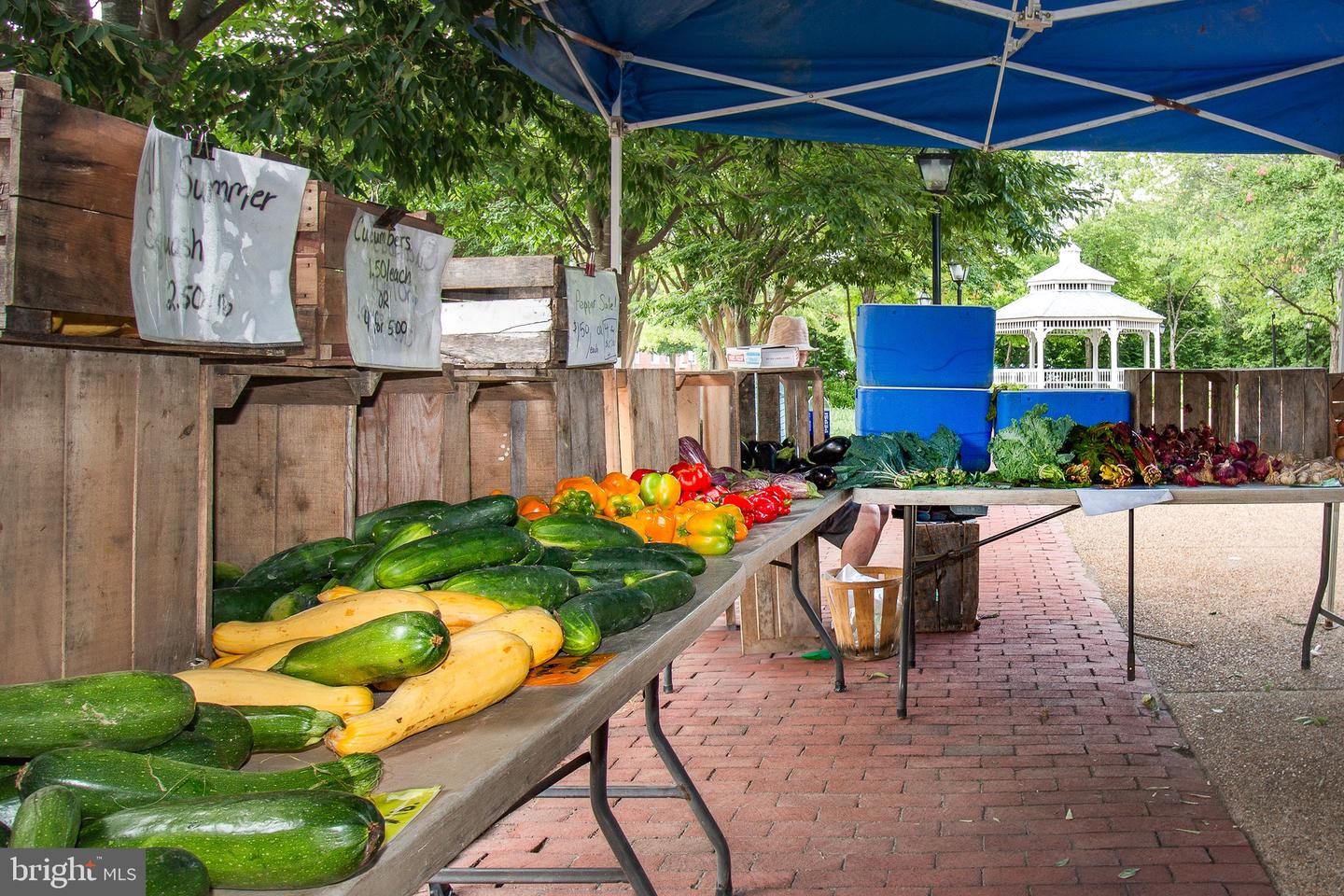 6705 W Wakefield Dr #C1