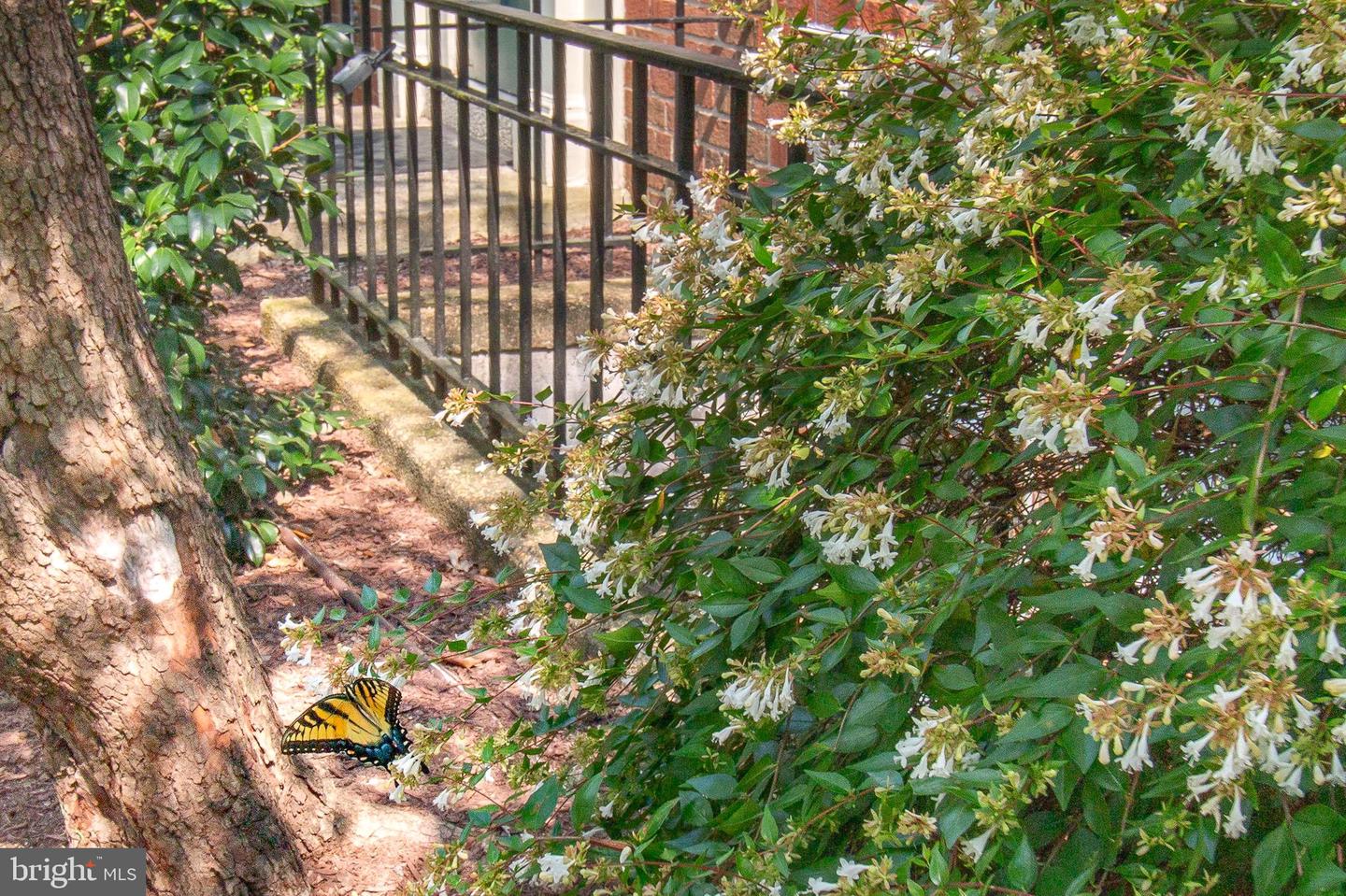 6705 W Wakefield Dr #C1