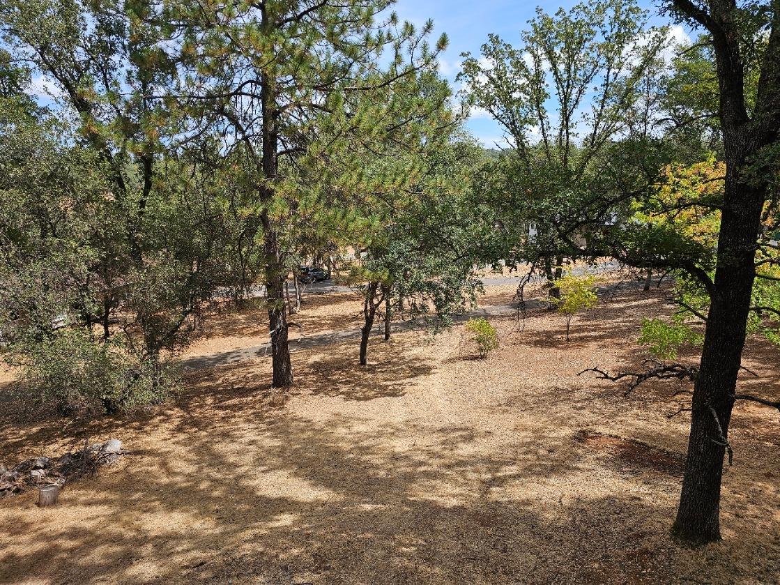 11660 Bluebird Court