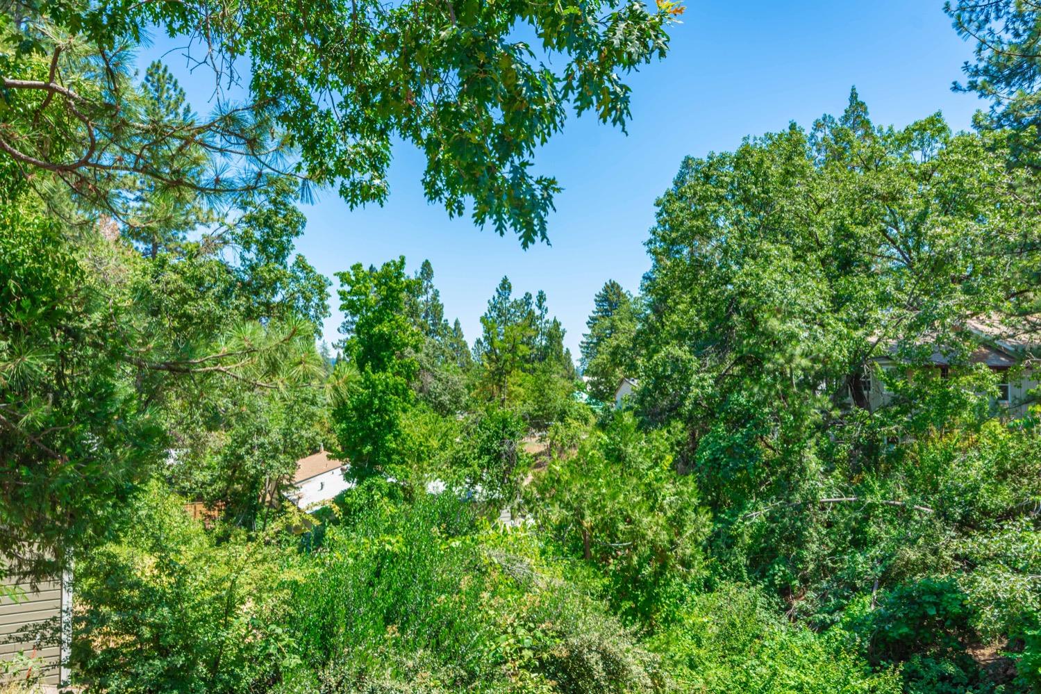 208 Rising Sun Road