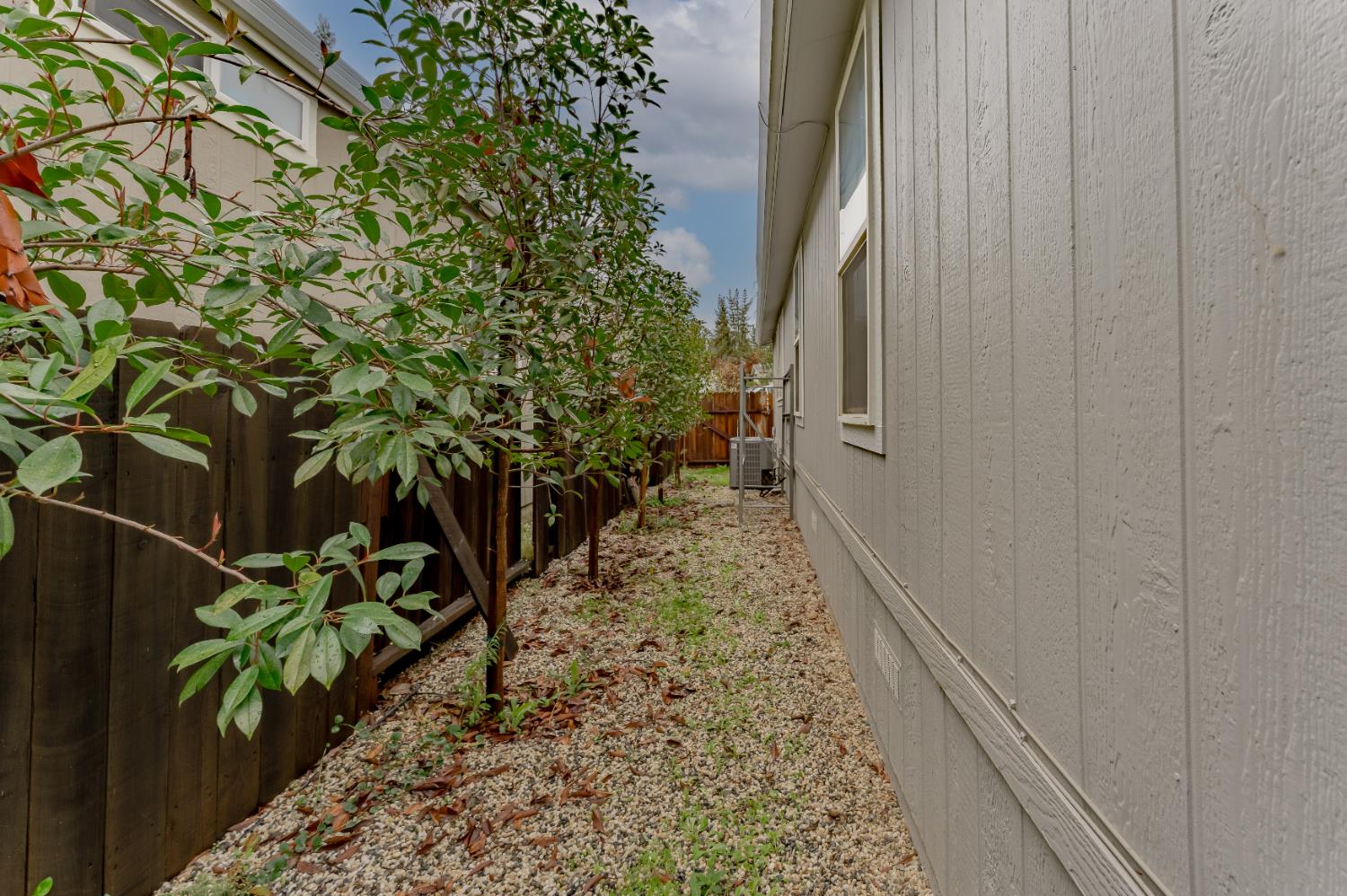101 Mink Creek Drive