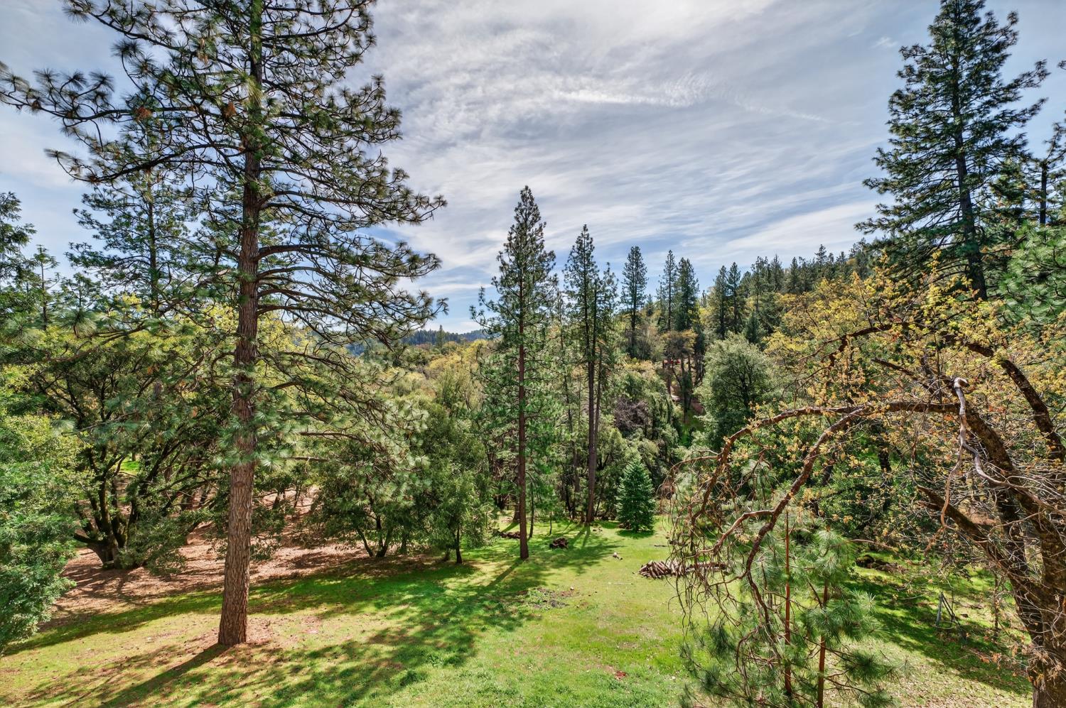 19038 Connie Drive