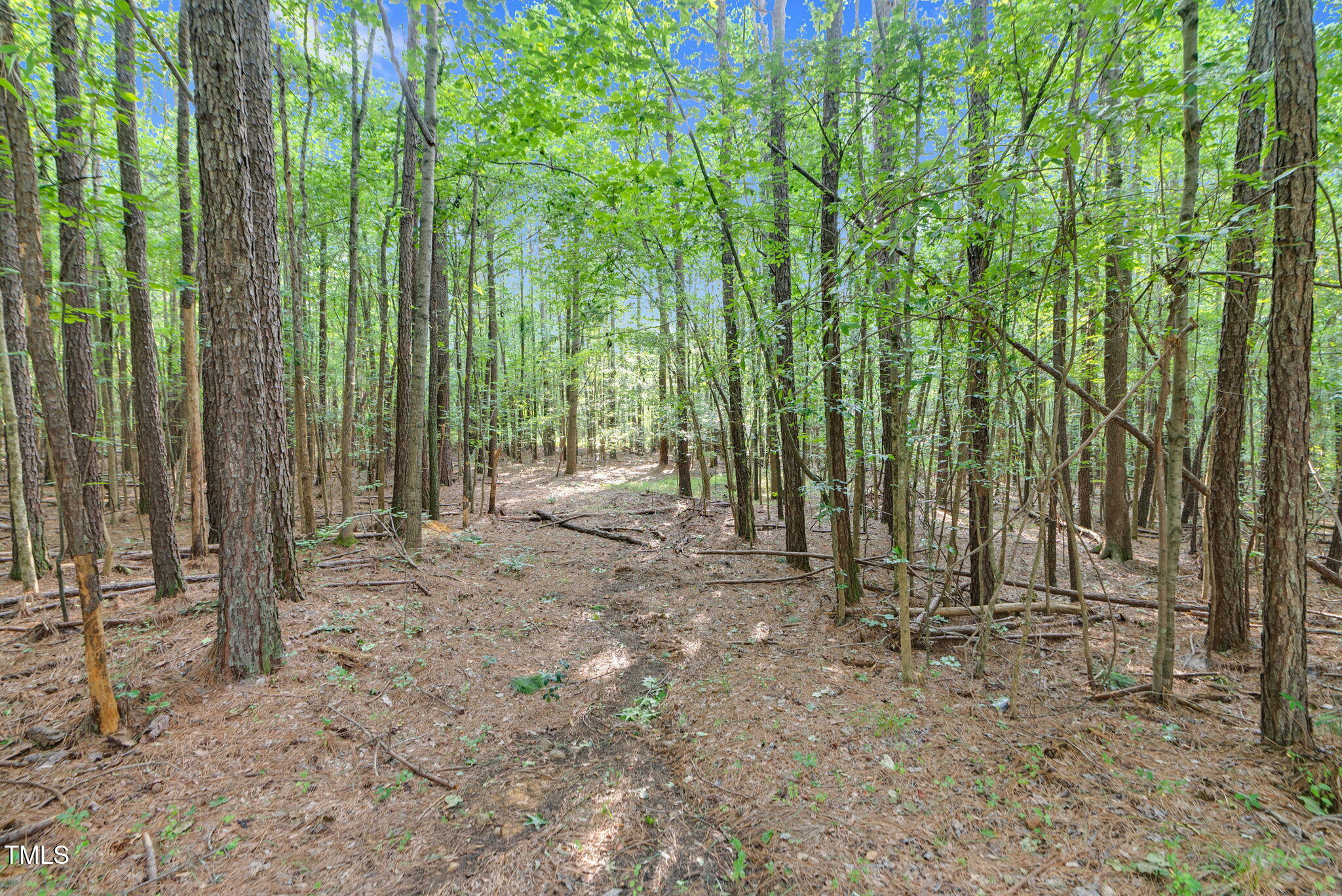 4071 Kimball Road