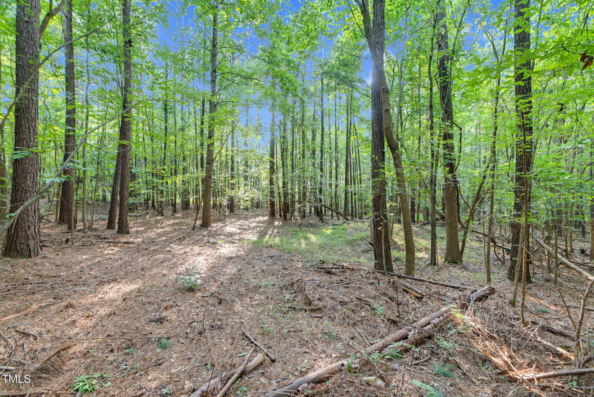 4071 Kimball Road
