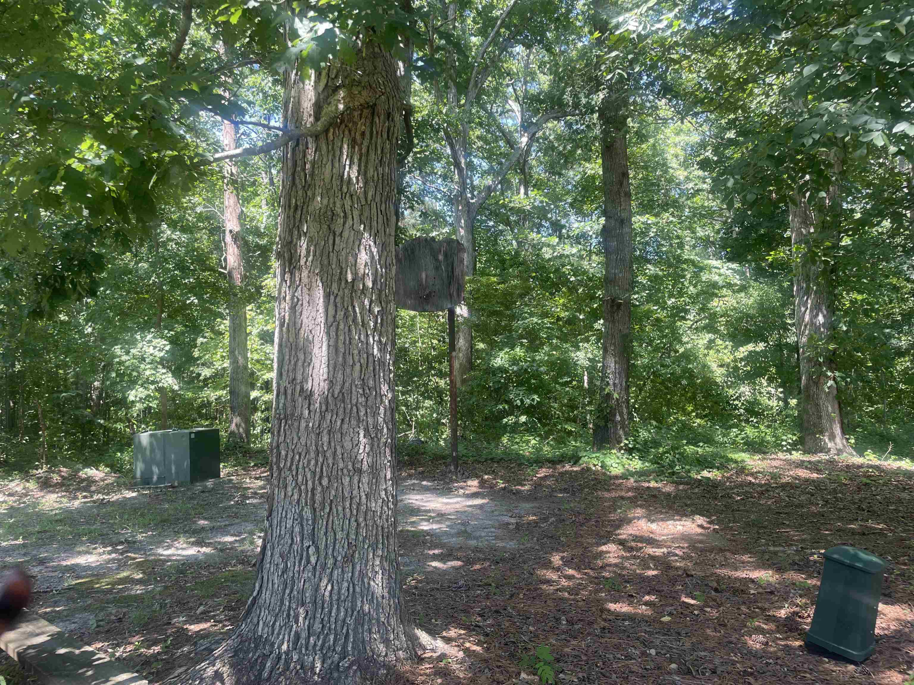 157 Southgate Drive