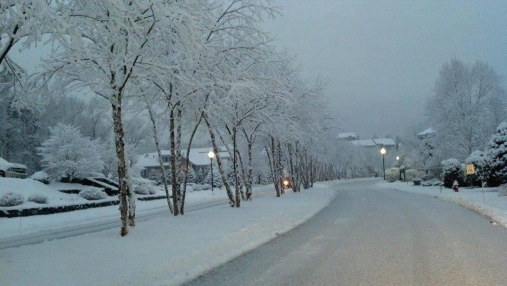 841 Ledgewood Way # 841