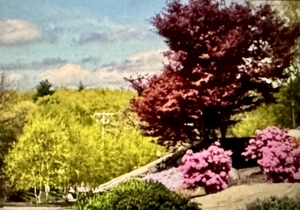 306 Sprucewood Ln # 306