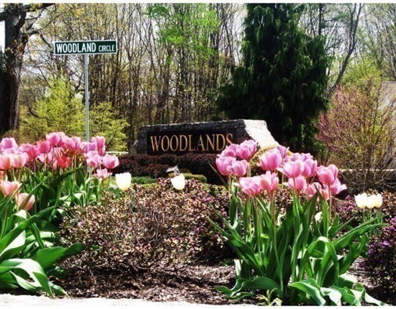 2303 Briarwood Vlg # 2303