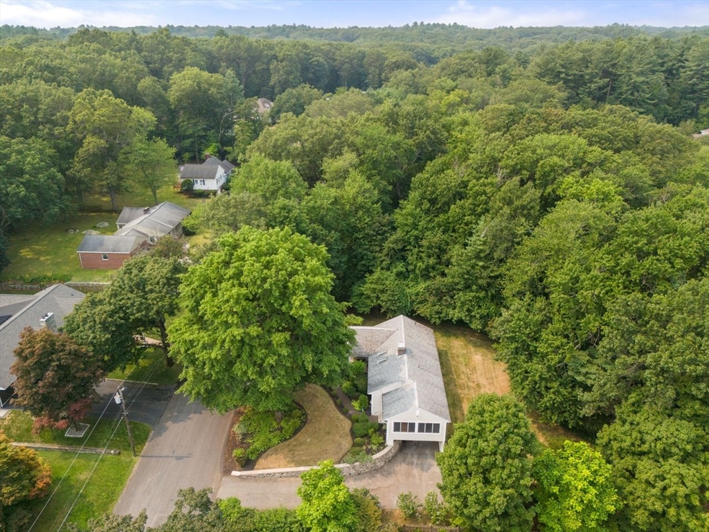 26 Montview Road