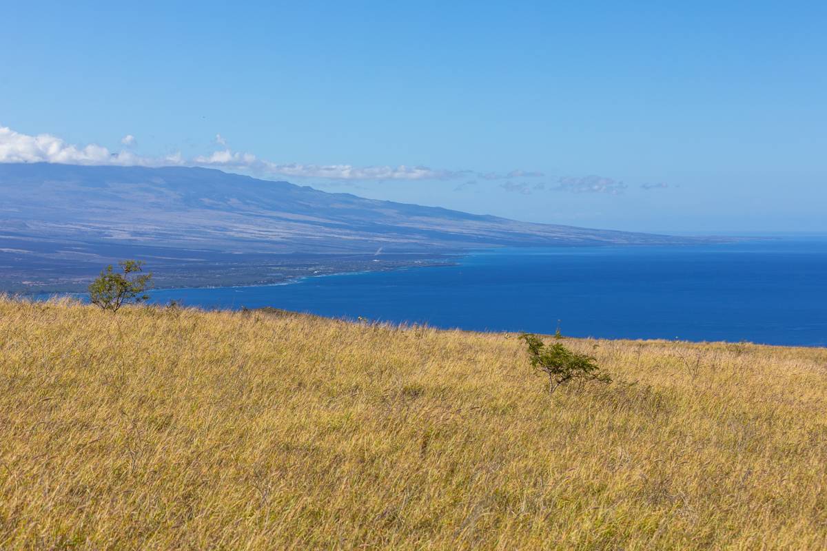 KAMAKANI LOOP Mauna Kea Realty kamakani-loop-mauna-kea-realty