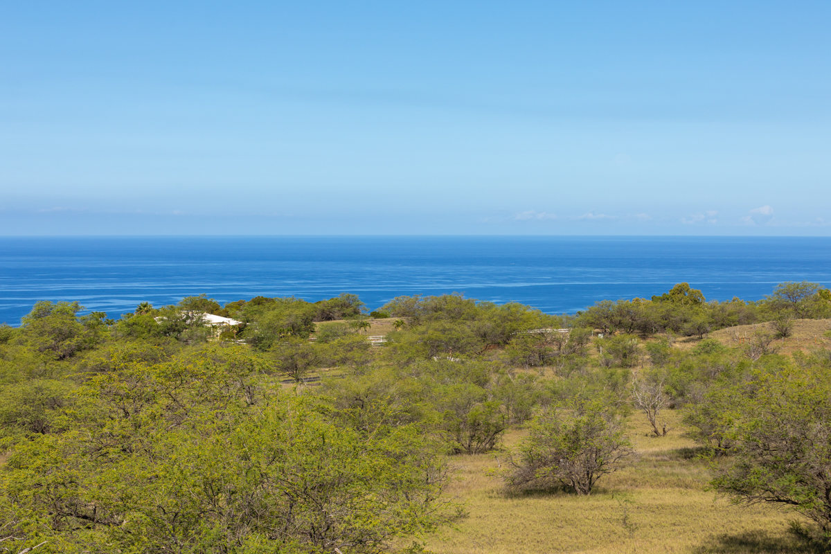 Kamuela