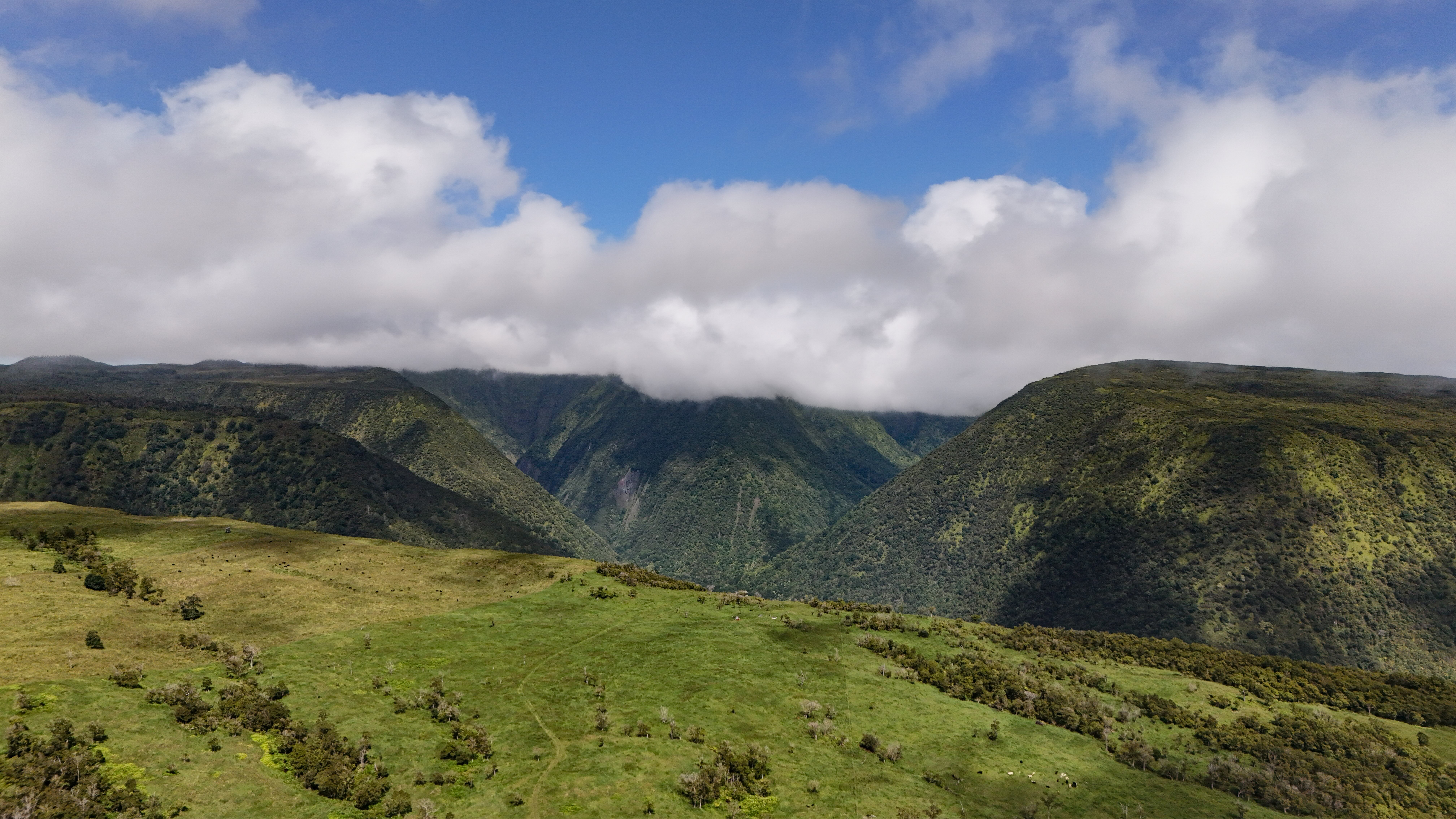 WAIPI'O VALLEY RESERVE