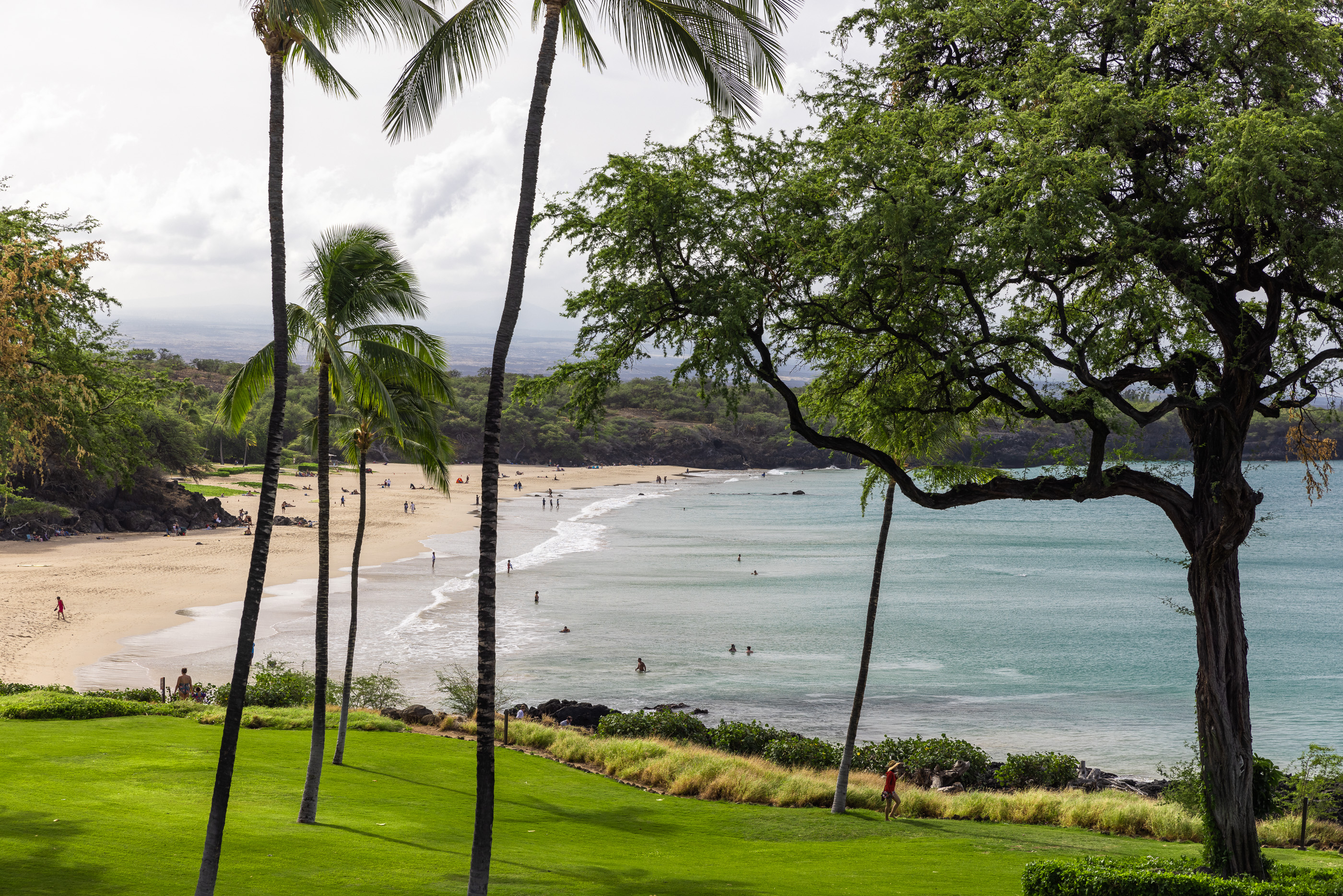 66-84 KAUNAOA DR C34