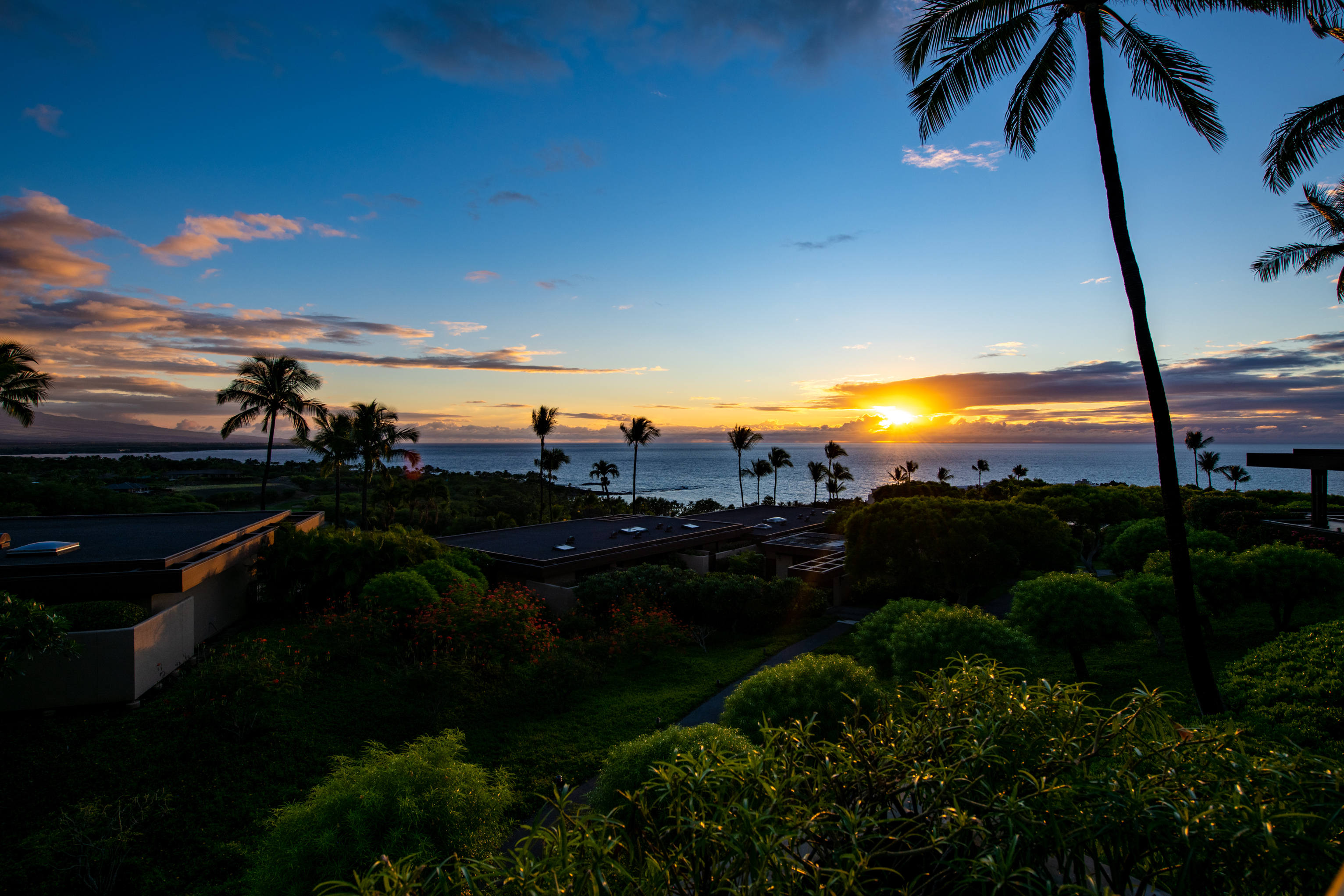 62-224 KAMAHOI PL 12