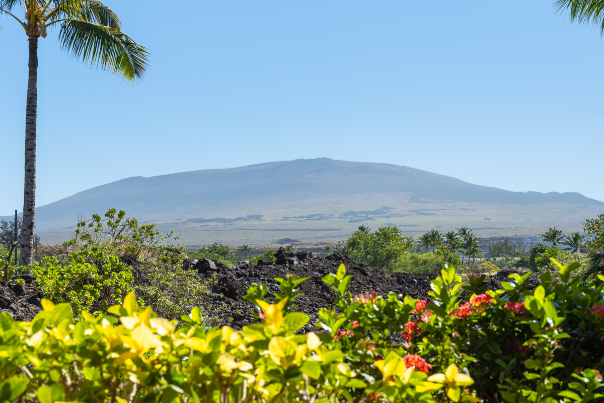 69-555 WAIKOLOA BEACH DR 1805