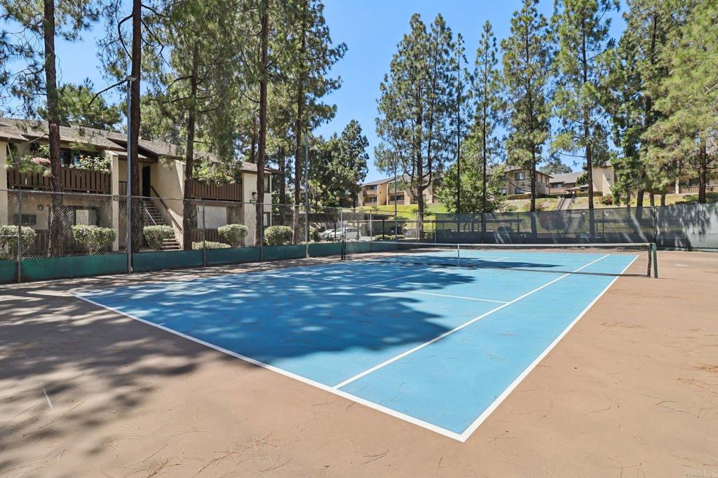 10202 Black Mountain Road 11