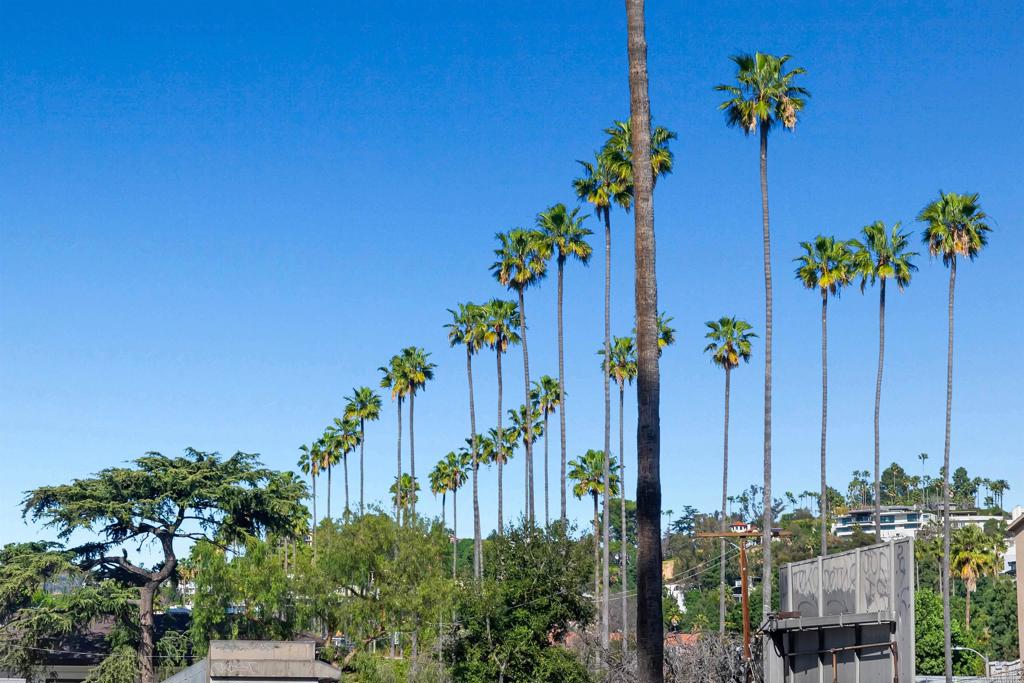 5750 Hollywood Boulevard 232