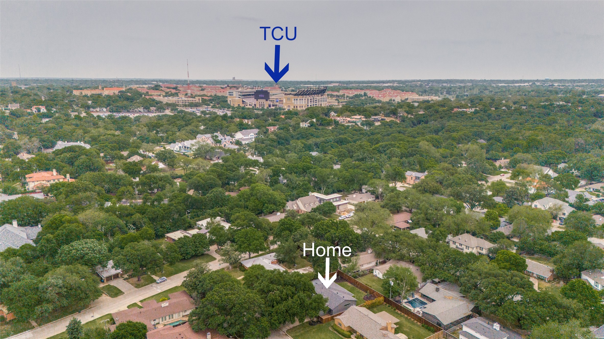 3905 Ann Arbor Court