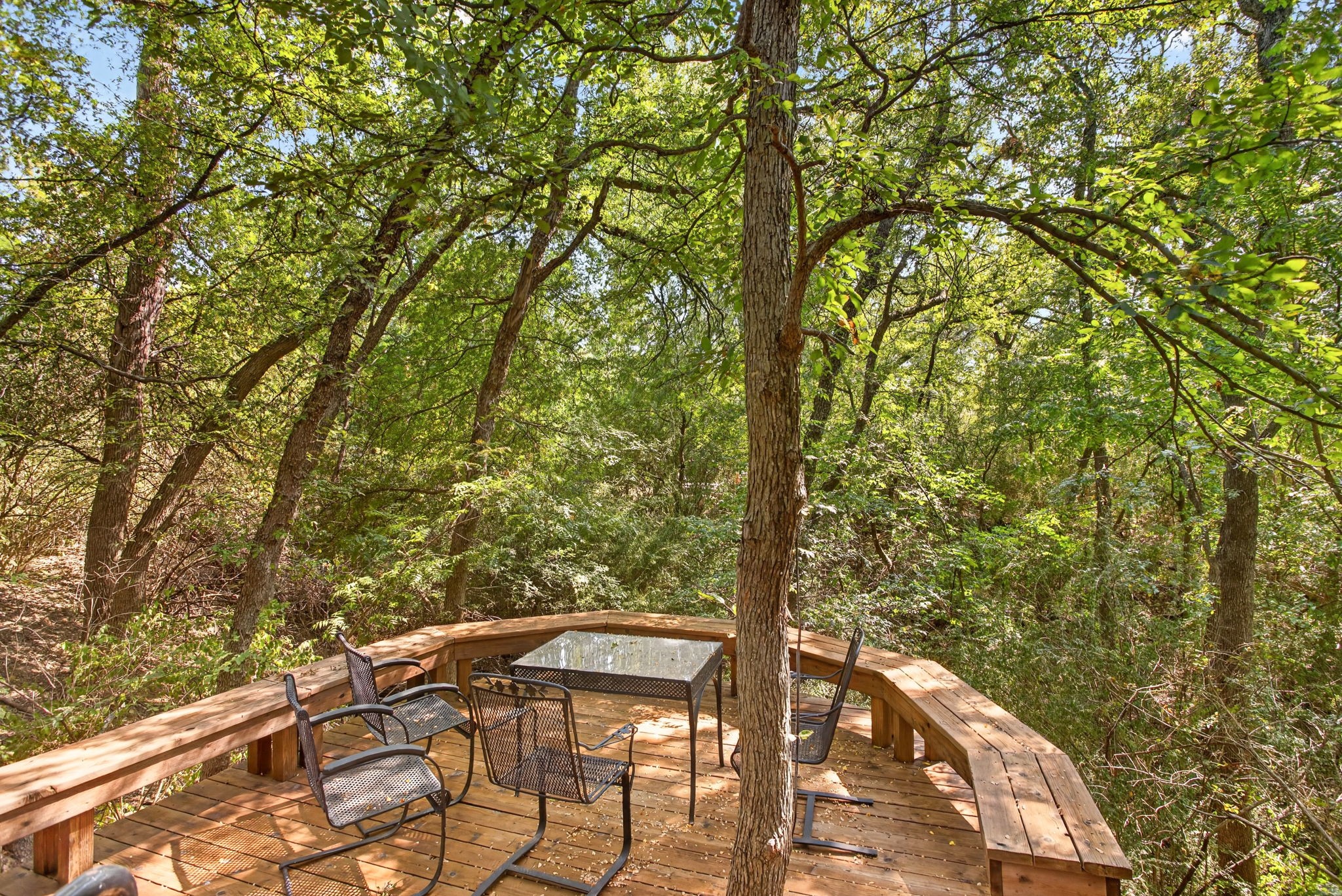 1709 Bluebonnet Drive