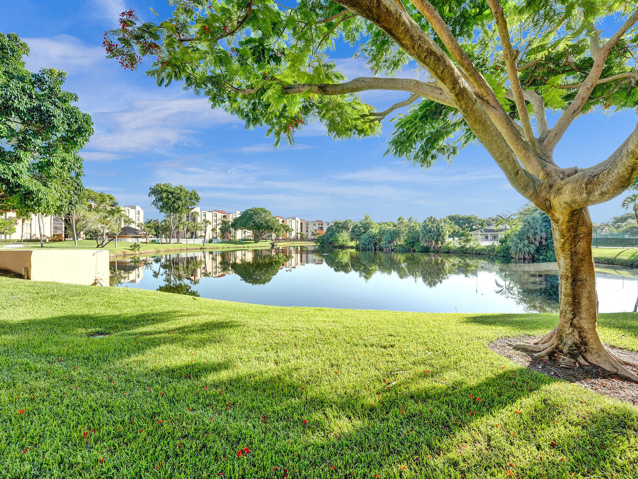 955 Dotterel Road 2103