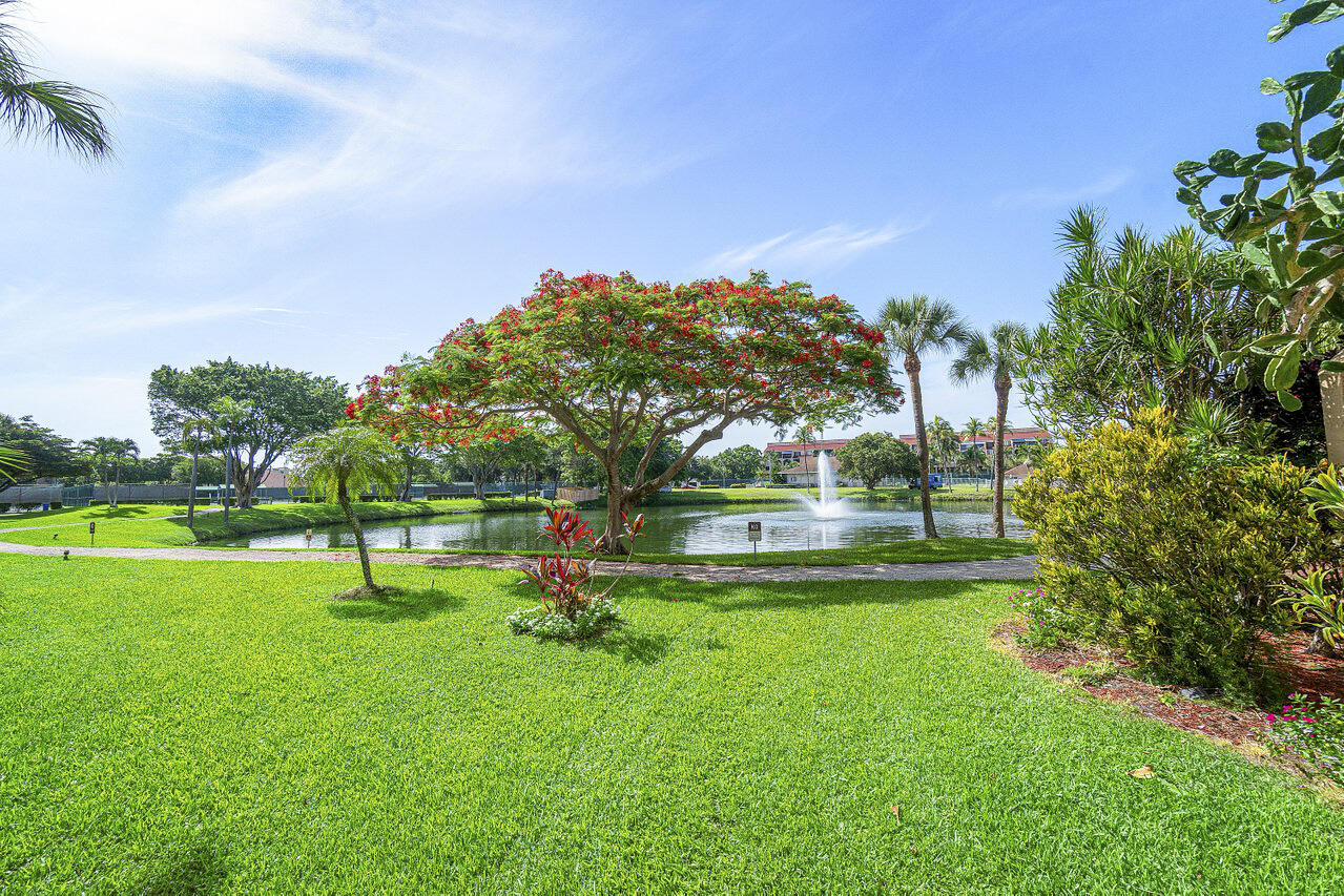 950 Egret Circle 5202