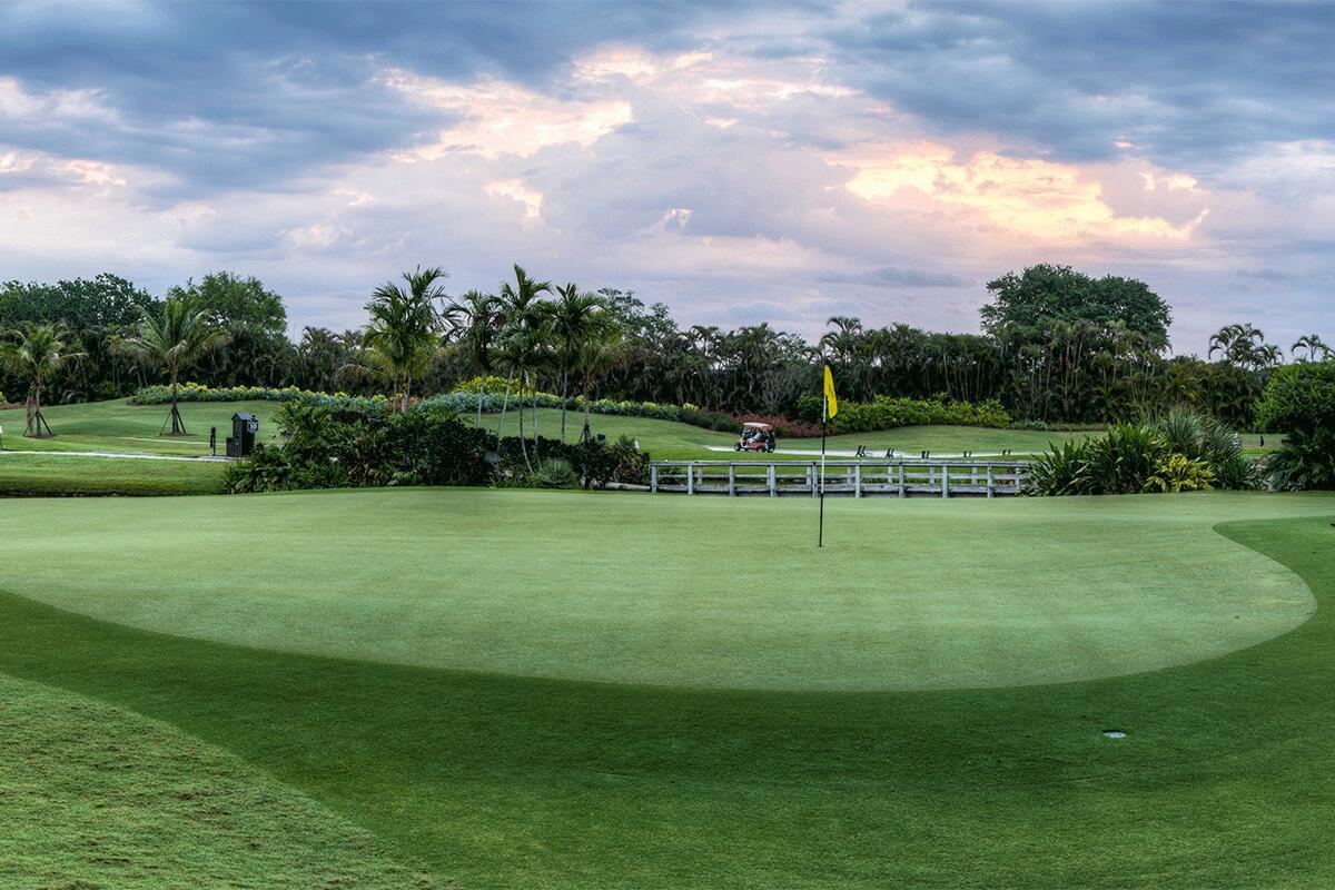 7745 Wood Duck Drive